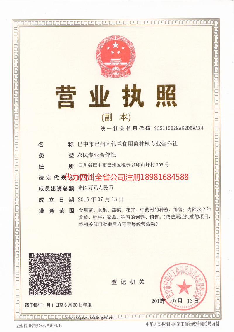 贵溪贵溪伟兰食用菌种植专业合作社